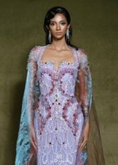 HBSS17