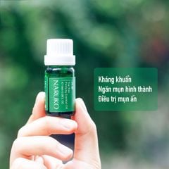 Tinh Dầu Tràm Trà Chấm Mụn Naruko Tea Tree Purifying Essential Oil 10ml