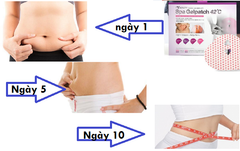 Set 5 Miếng Dán Tan Mỡ Bụng Ttmary Spa Gelpatch