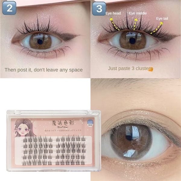 Mi Giả GlamColour (tặng kèm keo dám mi)