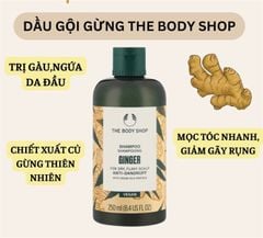 Dầu Gội Ngừa Gãy Rụng Và Kích Thích Mọc Tóc The Body Shop Ginger Anti-Dandruff 400ml