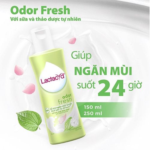 Dung Dịch Vệ Sinh Phụ Nữ Lá Trầu Lactacyd Odor Fresh 250ml