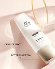 Kem Chống Nắng Ohui Day Shield Perfect Sun Black 50ml