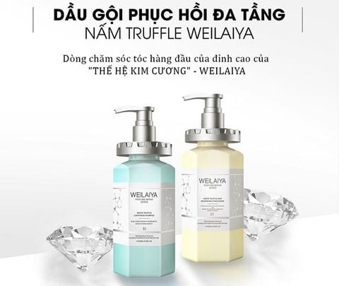 Bộ dầu gội phục hồi đa tầng Nấm Truffle Weilaiya 450ml