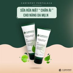 Sữa rửa mặt Caryophy Portulaca Cleansing Foam 150ml