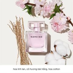 Nước Hoa Narciso Rodriguez Narciso Radiante EDP