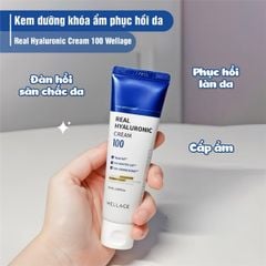 Kem Dưỡng Ẩm Tức Thì Cho Da Căng Bóng Wellage Real Hyaluronic Cream 100 50ml