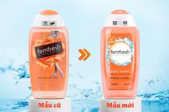 Dung Dịch Vệ Sinh Phụ Nữ Femfresh Daily Intimate Wash 250ml