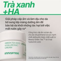 Kem Dưỡng Innisfree Green Tea Seed Hyaluronic Cream 50ml