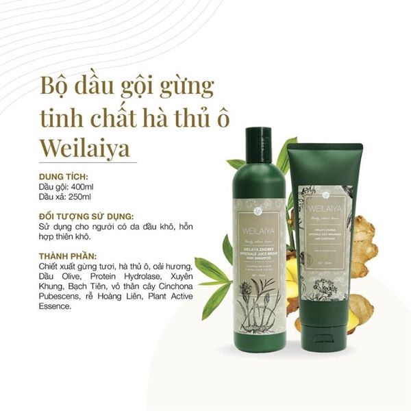 Bộ Dầu Gội Hà Thủ Ô Weilaiya Hair Strength 250ml/chai (Tặng set mini)