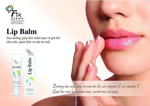 Son Dưỡng Môi Chống Khô Và Nứt Nẻ Fixderma Lip Balm 15ml