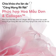 Mặt Nạ Ngủ Laneige Bouncy & Firm Sleeping Mask