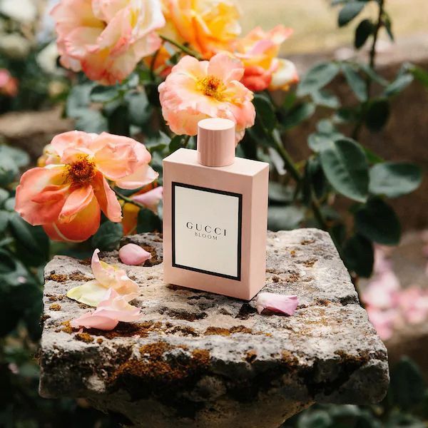 Nước hoa Gucci Bloom Eau De ParfumNước hoa Gucci Bloom Eau De Parfum Vaporisateur Natural Spray 30ml – SKINCARESHOP.VN