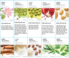 Mặt Nạ Giấy Chiết Xuất Từ Thiên Nhiên The Face Shop Real Nature Face Mask