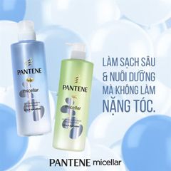 Dầu Gội PANTENE Pro-V Micellar Scalp Shampoo 530ml