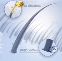 Dầu Gội PANTENE Pro-V Micellar Scalp Shampoo 530ml