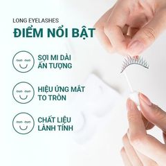 Mi giả làm dài tự nhiên Innisfree Long Eyelashes