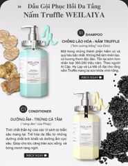 Bộ dầu gội phục hồi đa tầng Nấm Truffle Weilaiya 450ml