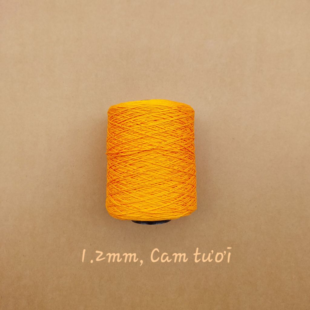 Cuộn sợi Silk, 100% Silk, 250g, cỡ 1.2mm