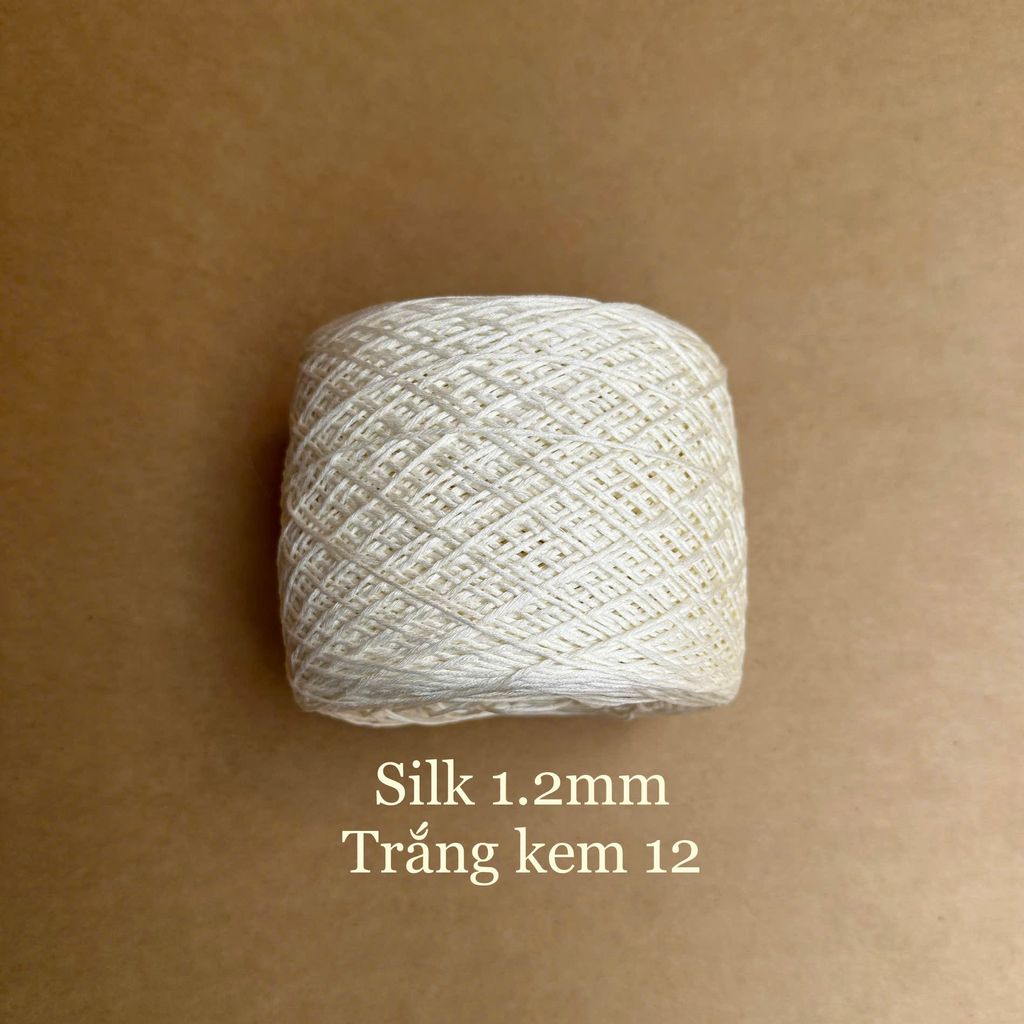 Cuộn sợi Silk, 100% Silk, 250g, cỡ 1.2mm