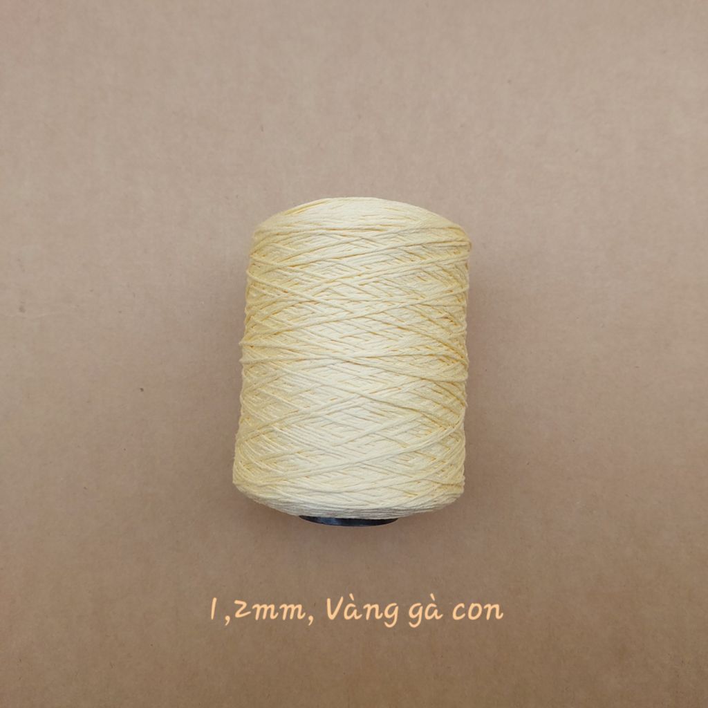 Cuộn sợi Silk, 100% Silk, 250g, cỡ 1.2mm