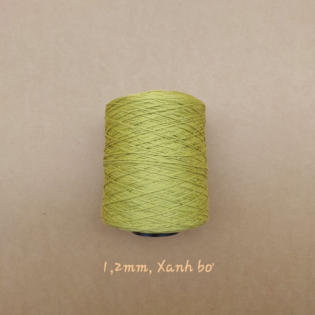 Cuộn sợi Silk, 100% Silk, 250g, cỡ 1.2mm