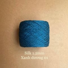 Cuộn sợi Silk, 100% Silk, 250g, cỡ 1.2mm