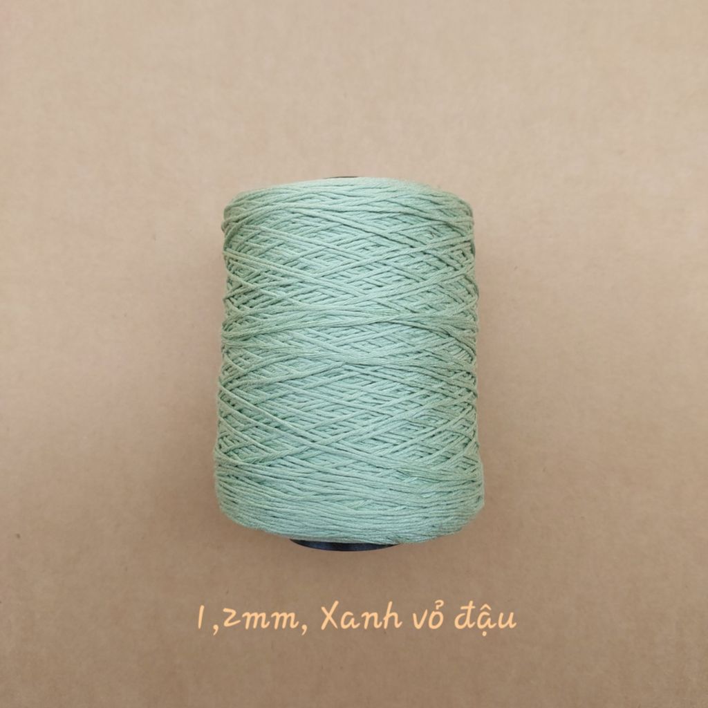 Cuộn sợi Silk, 100% Silk, 250g, cỡ 1.2mm