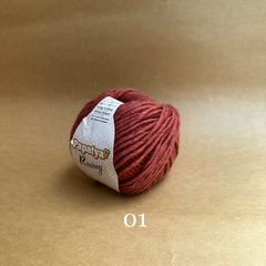 Len Papatya ấm trơn cỡ sợi to Roving đan móc thú bông, nón, khăn, áo ấm mùa đông siêu nhanh