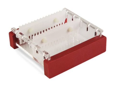  Bộ điện di ngang MultiSUB MIDI | Cleaver 