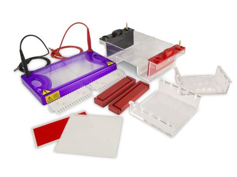  Bộ điện di ngang MultiSUB MIDI | Cleaver 