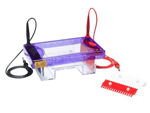 Bộ điện di ngang MultiSUB MIDI | Cleaver 