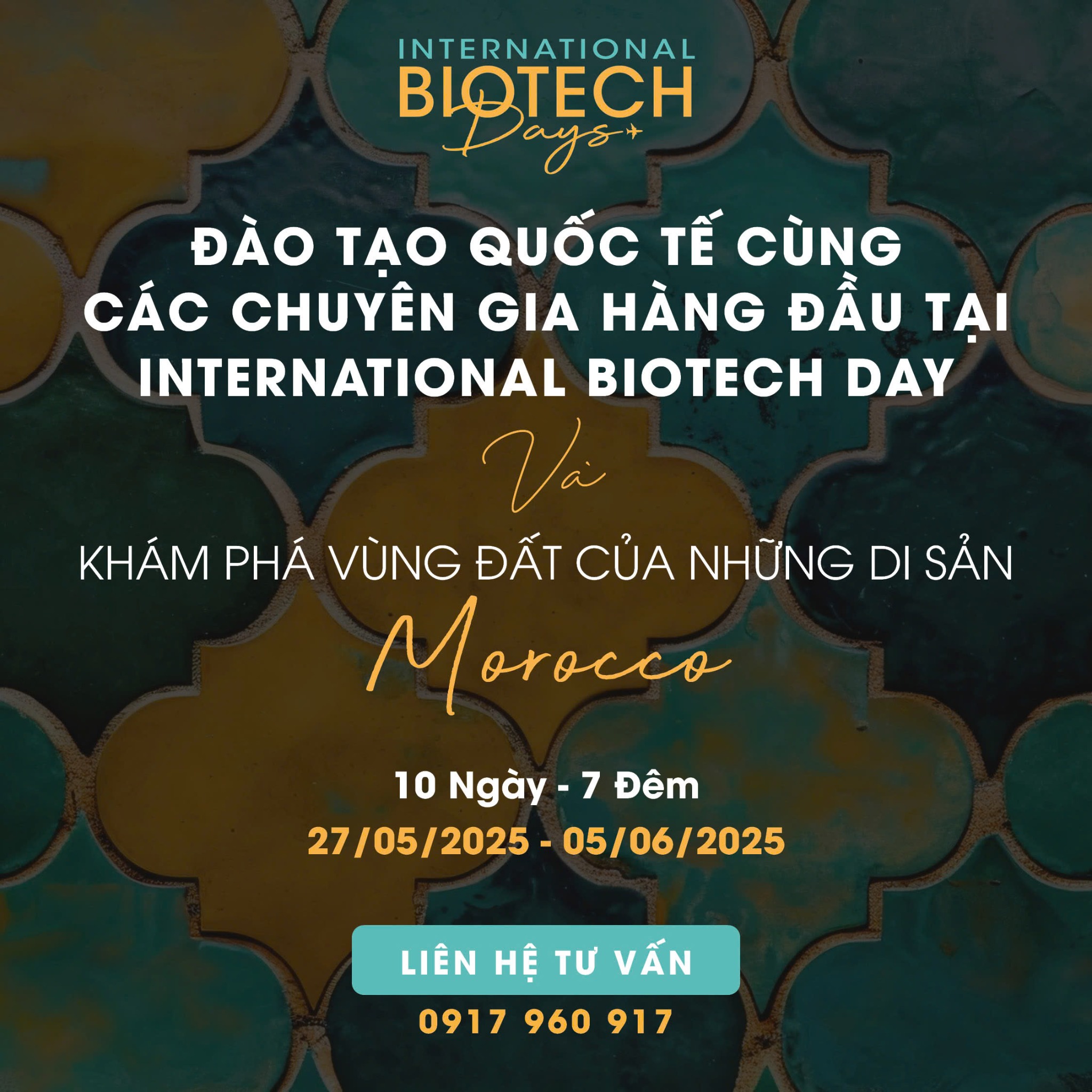 Đào tạo quốc tế ngành nha và du lịch khám phá Maroc 