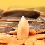  [Vị Hồ Đào] Hạt Hướng Dương Bà Già LAOJIEKOU 