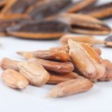  [Nguyên Vị] Hạt Hướng Dương Bà Già LAOJIEKOU 
