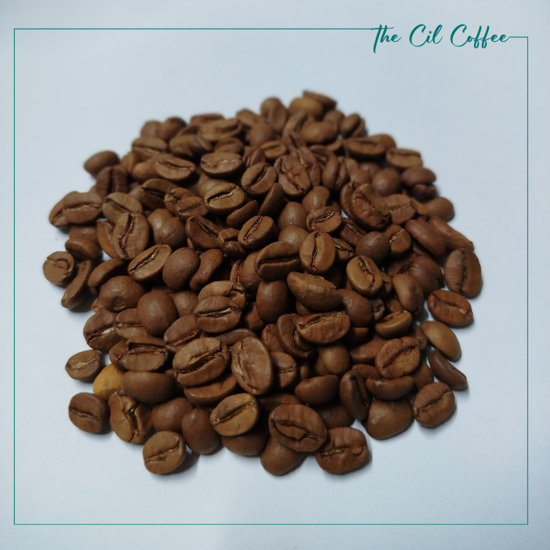  Cà Phê Arabica typica - chế biến honey 