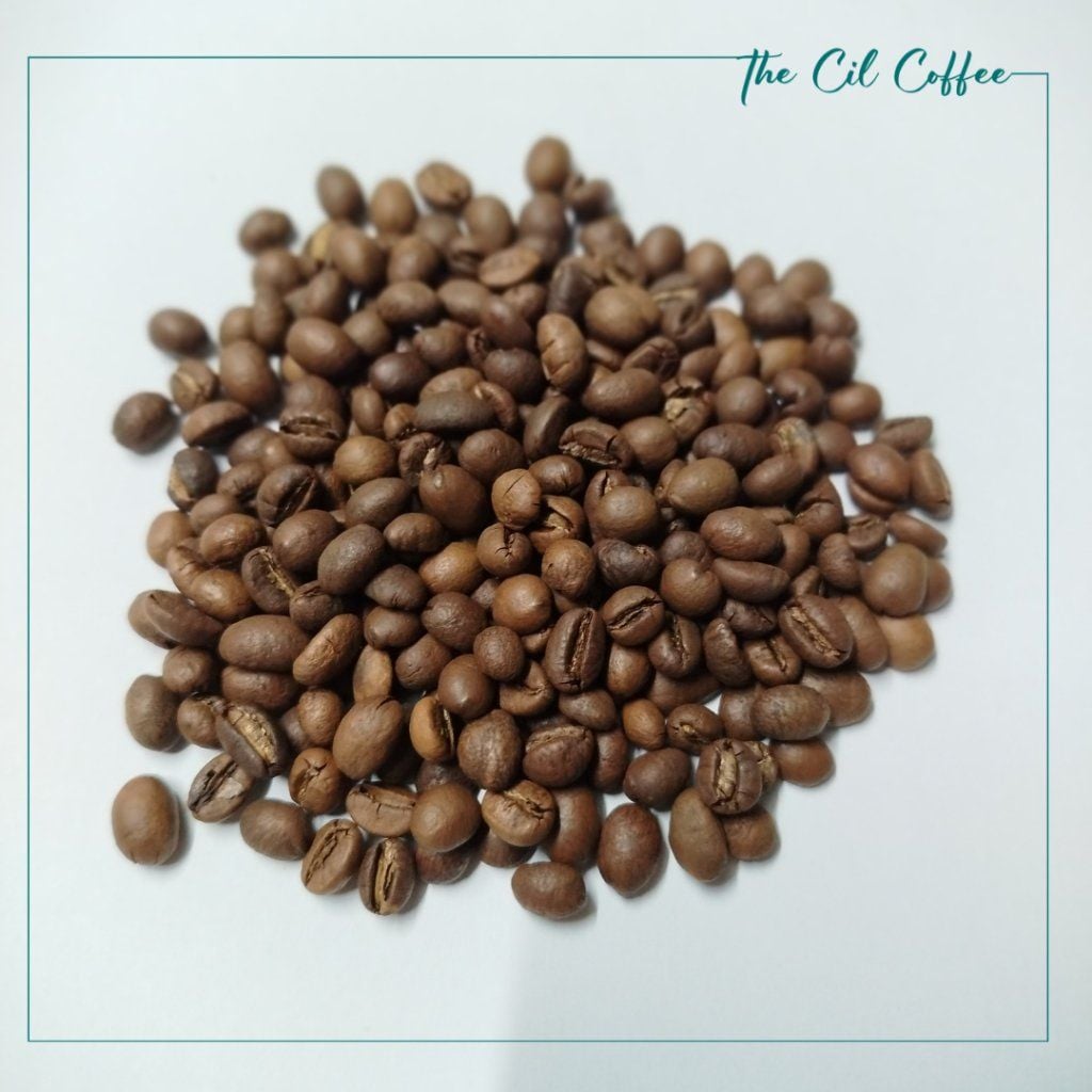  Cà phê hạt rang mộc - pha máy - robusta Buôn Ma Thuột  - The Cil Coffee 