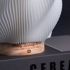 Wave Lamp - Đèn Decor nghệ thuật in 3D