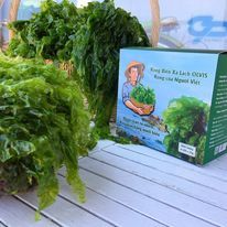 Rong biển sấy lạnh