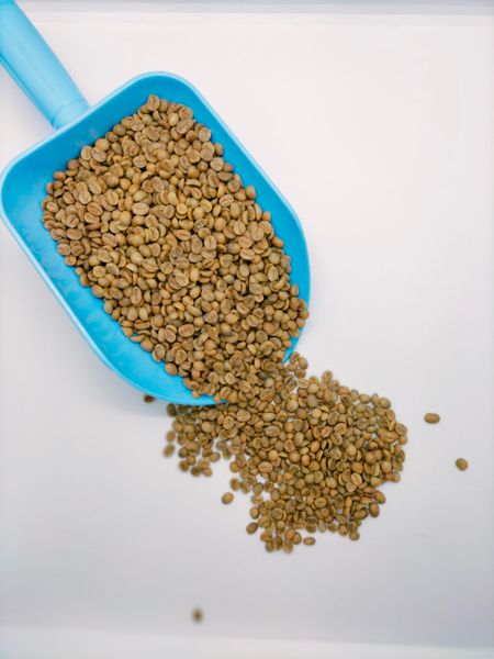 Cà phê đặc sản Arabica