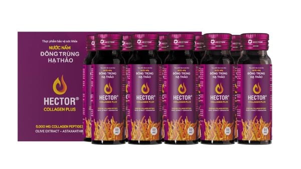 Nước nấm đông trùng hạ thảo Hector Collagen Plus