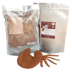 Linh Chi Đỏ giống Nhật Cắt lát 50g