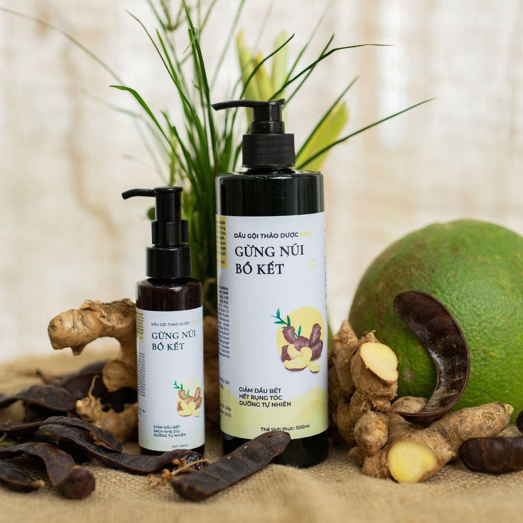 Dầu gội gừng núi bồ kết