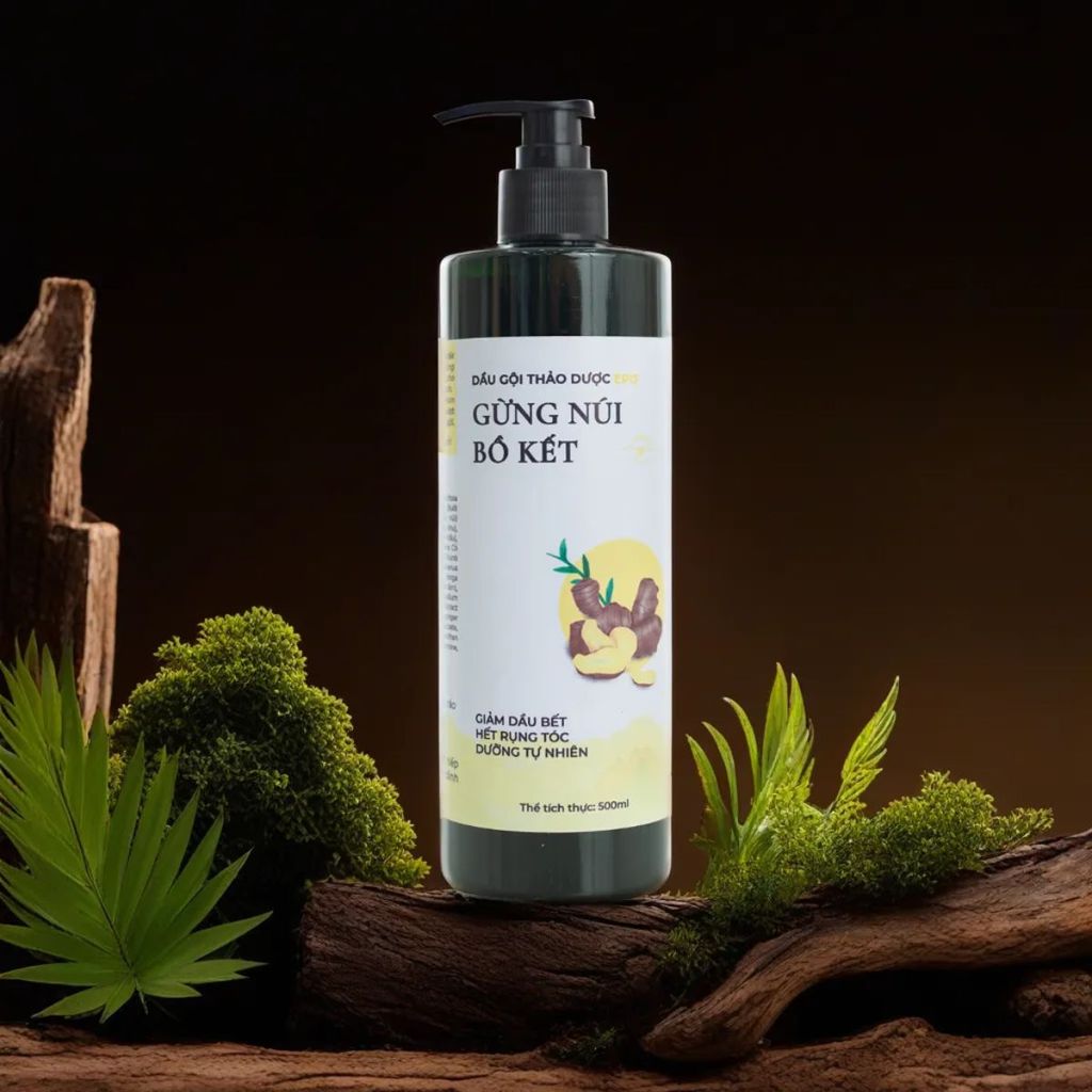 Dầu gội gừng núi bồ kết
