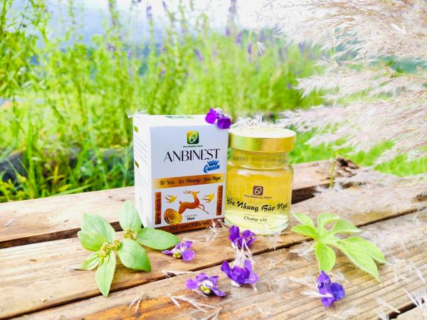 Tổ yến nhung hươu Queen