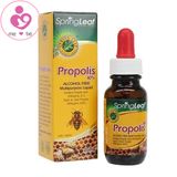 Keo ong Propolis của Spring Leaf Úc cho bé từ 2 tuổi lọ 25ml