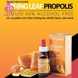 Keo ong Propolis của Spring Leaf Úc cho bé từ 2 tuổi lọ 25ml
