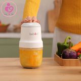 Máy xay thức ăn cho bé FG01