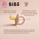 Ty ngậm Bibs của Đan Mạch size 1 cho bé từ 0-6 tháng tuổi