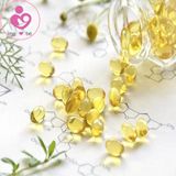 Tinh dầu hoa anh thảo Warnke Nachtkerzenol của Đức lọ 100 viên